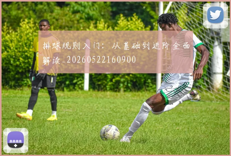 排球规则入门：从基础到进阶全面解读_20260522160900